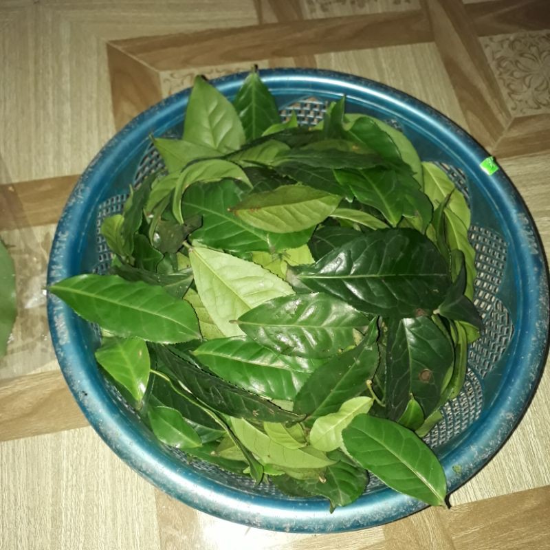 lá trà (chè) xanh tươi - sạch đun nước uống 200g