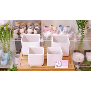 Chậu sứ trồng cây mẫu vuông