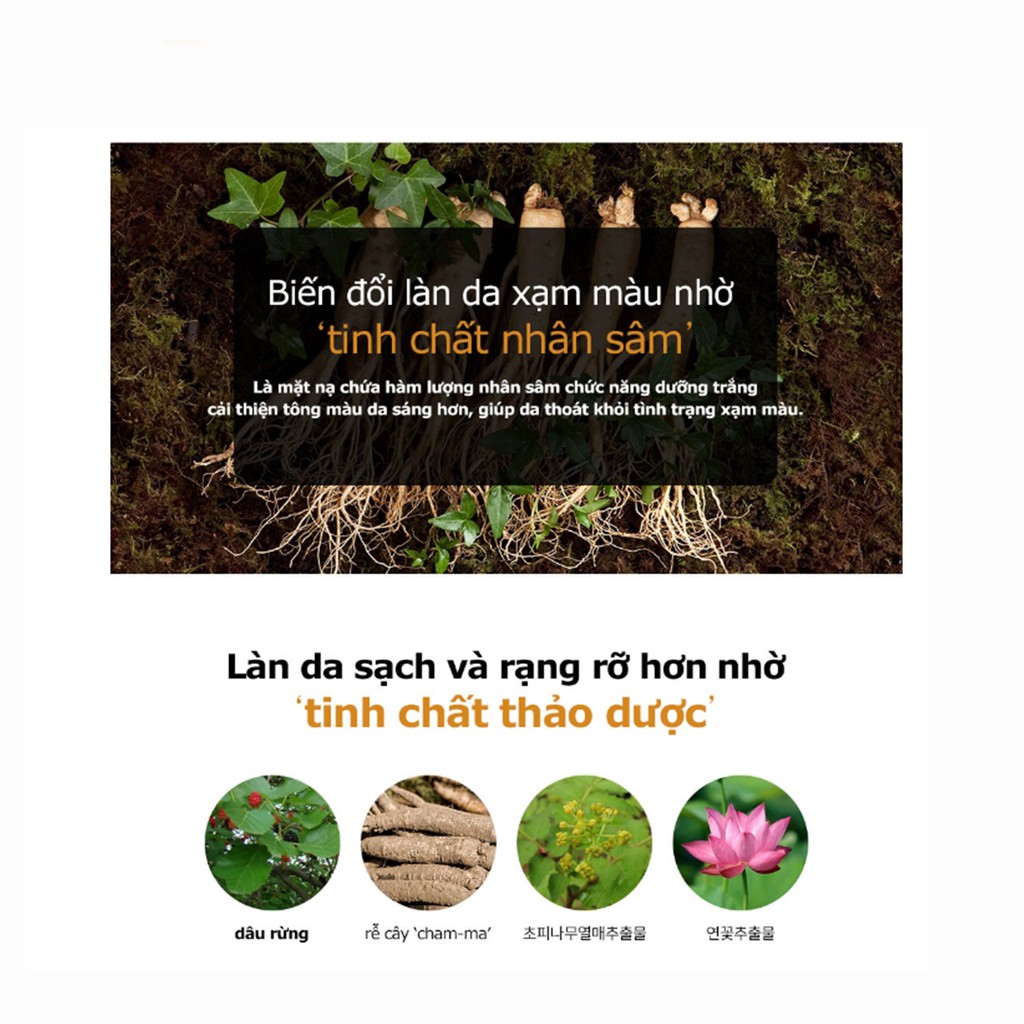 Mặt nạ nhân sâm SNP dưỡng ẩm, làm trắng da mềm mịn, giúp da đàn hồi săn chắc (SNP Ginseng Essence Mask) [CHÍNH HÃNG] | BigBuy360 - bigbuy360.vn