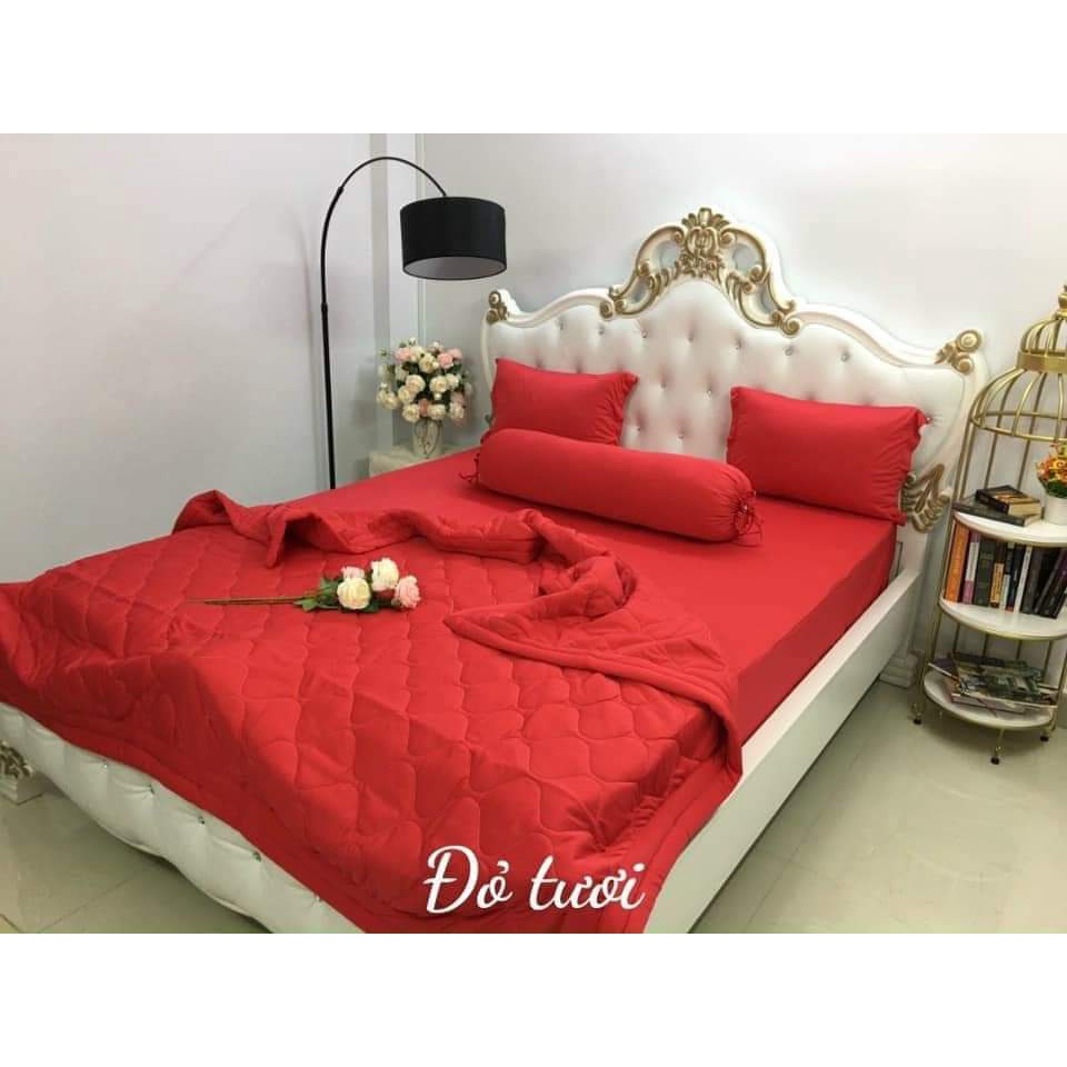 Drap thun Hàn quốc đủ size
