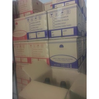 Nước giặt 2in1 hương nước hoa