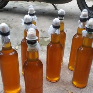 Mật ong rừng