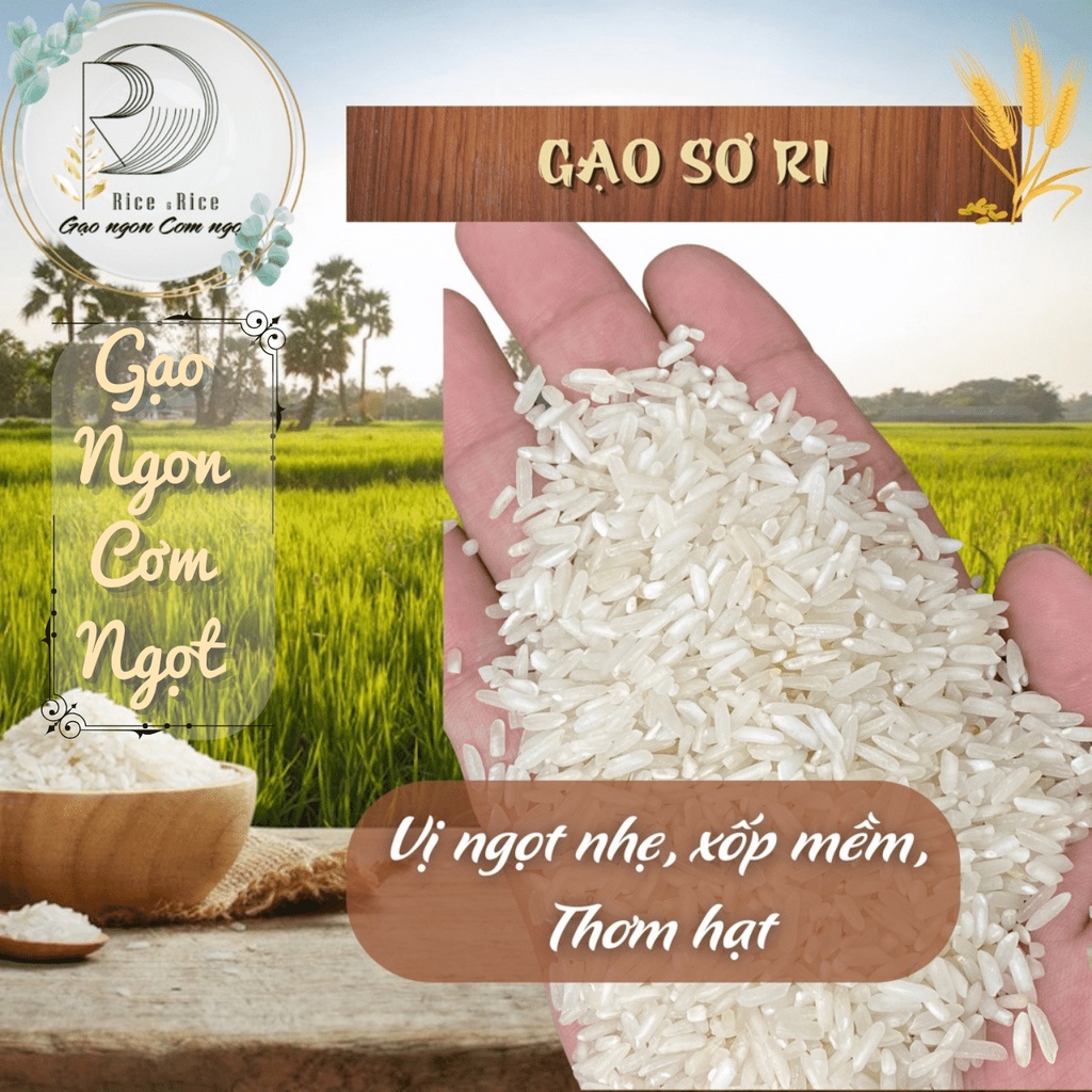 Túi 5KG Gạo Sa Ri – Sơ Ri – Sa mơ - Vị ngọt nhẹ, xốp mềm, thơm hạt - Rice&Rice