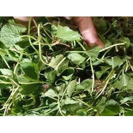 Rau má tươi 100g - 500g