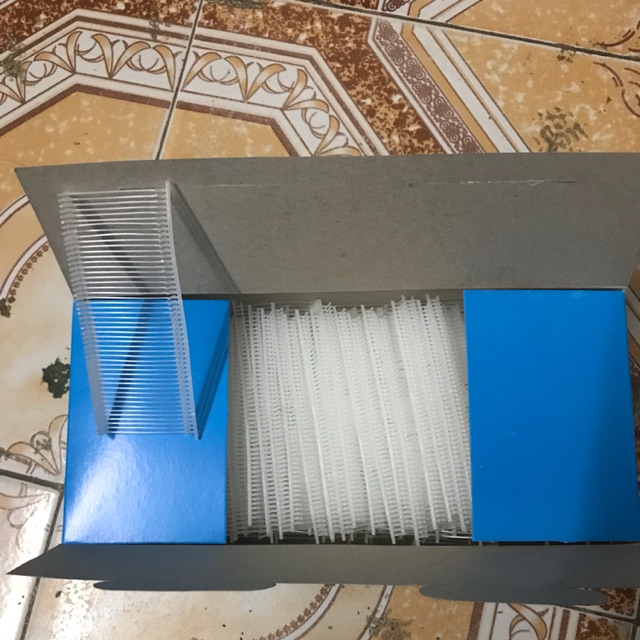 5000 dây đạn mác