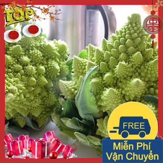 Combo 2 Gói Hạt Giống Súp Lơ San Hô