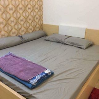 Drap cotton màu trơn Thắng Lợi.