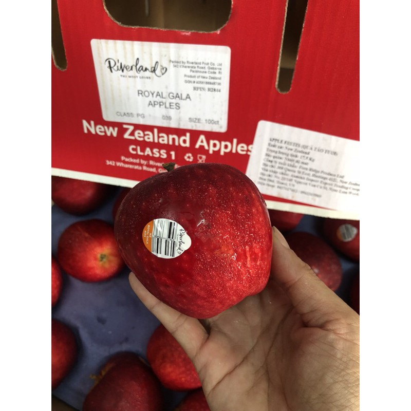 Set 4 trái táo Queen NZ hơn 1 kg