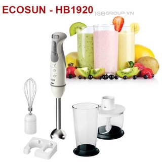 Máy sinh tố cầm tay ECOSUN-HB1920