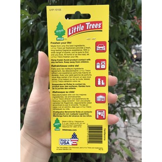 CÂY THÔNG THƠM LITTLE TREES VANILLAROMA