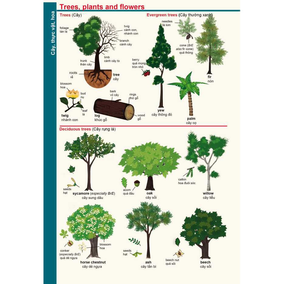 Sách - Từ điển Anh Việt dành cho học sinh - trắng xanh- MCBooks Tặng Kèm Bookmark