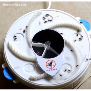 Sản phẩm hot - Máy bắt ruồi tự động Edoo