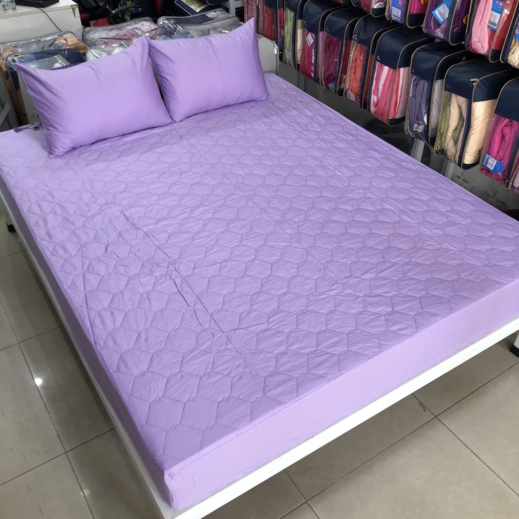 Bộ ra bọc cotton 120x200 và 140x200 Sông Hồng