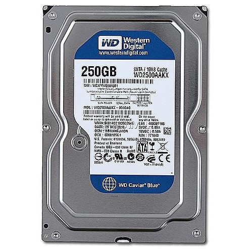 [ Free ship HN-HCM ] Ổ cứng máy tính Western HDD 250GB ( Ổ cứng máy tính 250gb )