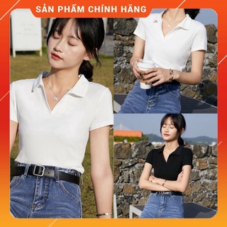 Áo polo nữ cổ v cộc tay chất borip dưới 58kg - áo thun nữ cổ bẻ gân 2 màu g0152 ami3
