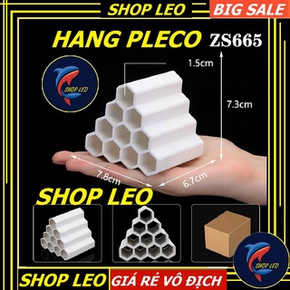 Hang pleco - hang thủy sinh - hang tôm - 10 lỗ