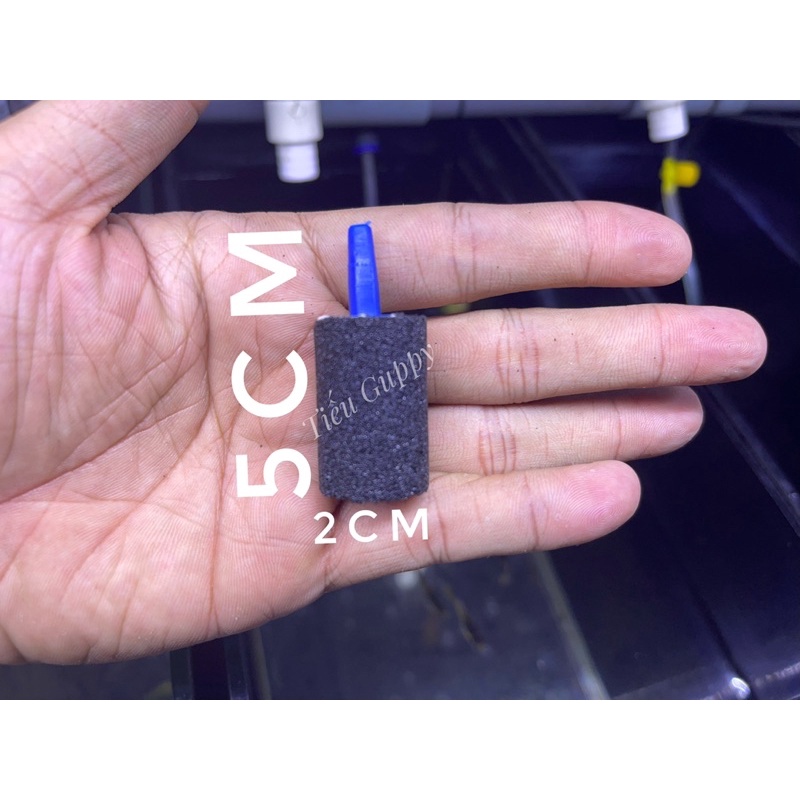 [Giá sỉ] 50 CỤC SỦI ĐEN LOẠI TỐT CHO CÁ CẢNH