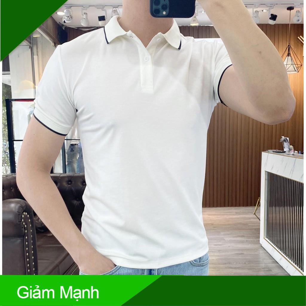 Áo polo nam đẹp trơn áo phông thun chất cotton đẹp có cổ hàng cao cấp nhiều màu FAVITI AT02