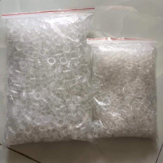 Chum mực phun mày