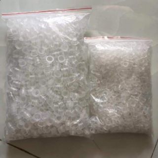 Chum mực phun mày
