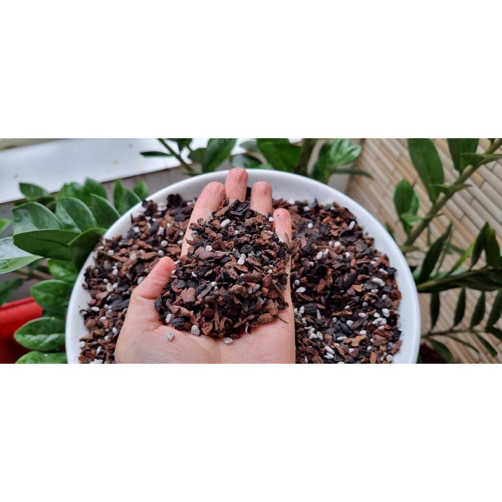 Giá thể trồng hổn hợp trồng sen đá, phong lan, địa lan  được kiểm chứng bởi các nhà vườn uy tín gói 2 kg
