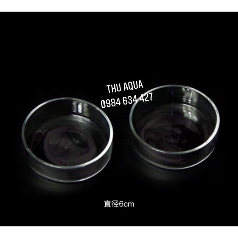 ỐNG THỦY TINH CHO CÁ TÉP ĂN+CHÉN CHO TÉP ĂN