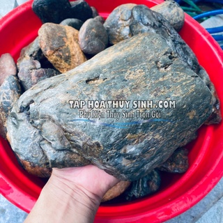 SỎI CỘI VÂN MÂY- CỘI SUỐI 1KG