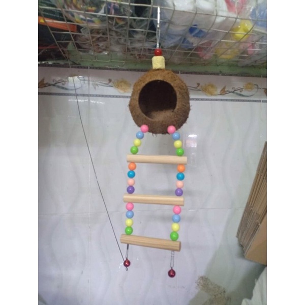 Tổ gáo dừa giải trí cho chim vẹt.