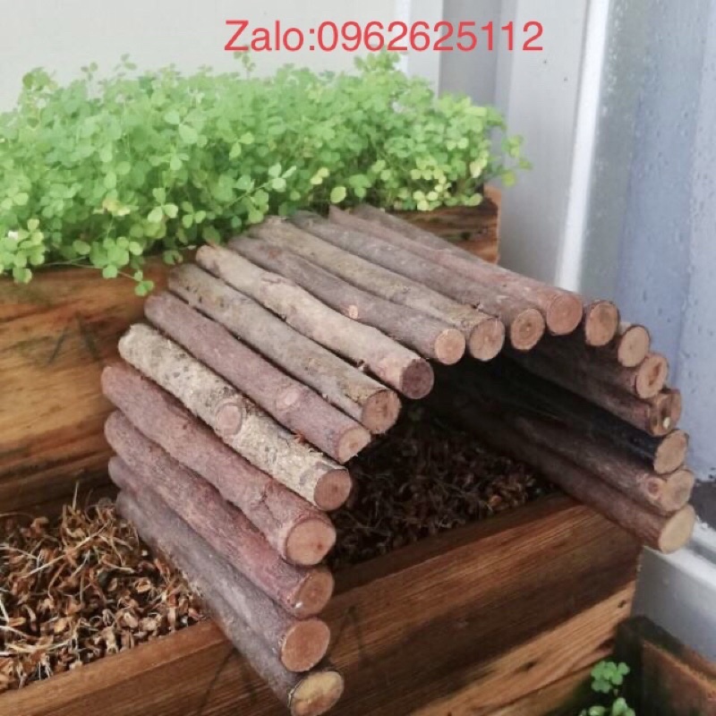 Cành củi khô trang trí decor nhà cửa đường kính 3-5cm dài 30-100cm
