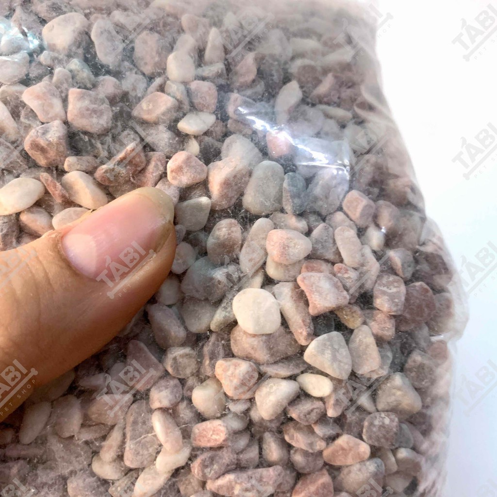 1KG Sỏi Hồng Trang Trí Hồ Cá, Bể Cá, Nhà Cửa Và Chậu Cây Cảnh