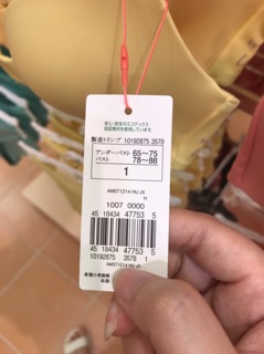 Áo trơn màu Tr.iumph Amo Style
