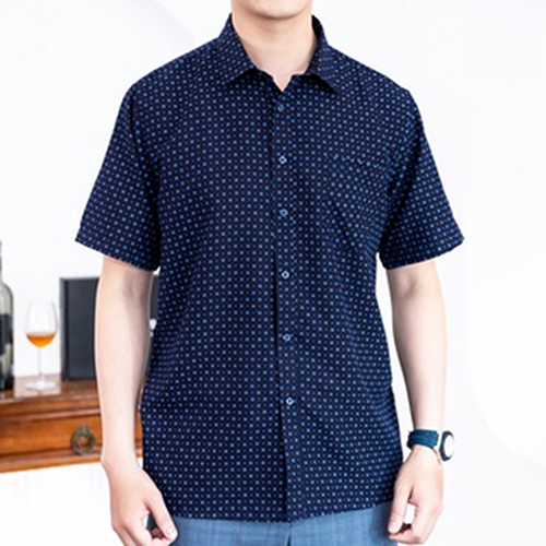 Áo Sơ Mi Nam Công Sở Trung Niên Anton Somianton Tím Than Ngắn Tay Vải Cotton Họa Tiết Vuông Xanh – X809