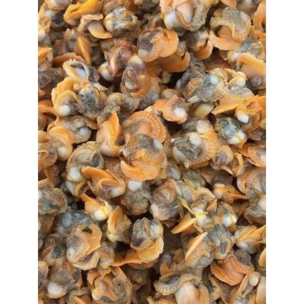 RUỘT SÒ HUYẾT 500G