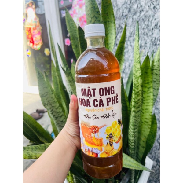 MẬT ONG HOA CÀ PHÊ 100%  NGUYÊN CHẤT ❤️ FREE SHIP❤️ MẬT ONG HOA RỪNG ĐẶC SẢN ĐẮK LẮK - Lùn Con Food