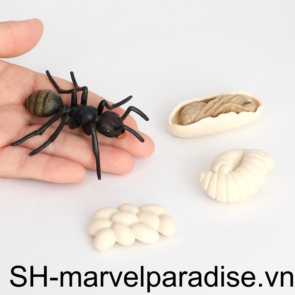 1 Bộ Đồ Chơi Mô Hình Côn Trùng / Kiến Giáo Dục Cho Bé