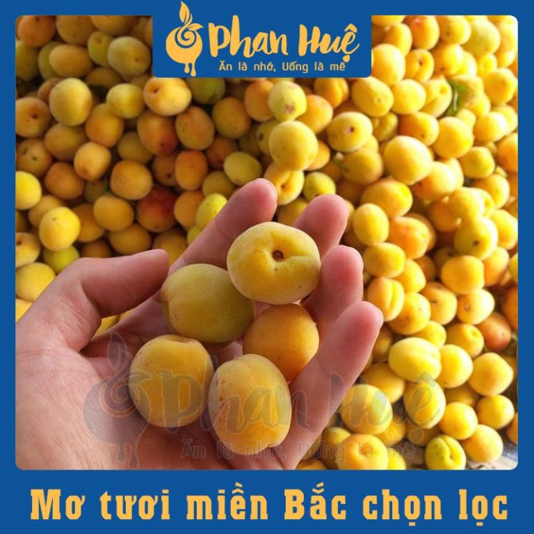 [ Dùng thử ] Ô mai xí muội mơ dẻo ngũ vị Phan Huệ đặc biệt, mơ miền Bắc chọn lọc, đặc sản Hà Nội