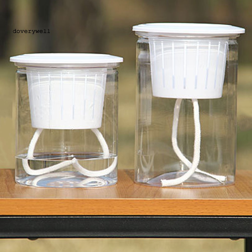 Dụng Cụ Tưới Nước Tự Động Trong Suốt