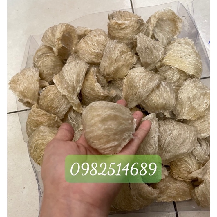 Tổ yến đảo nguyên chấtyến sào nha trang