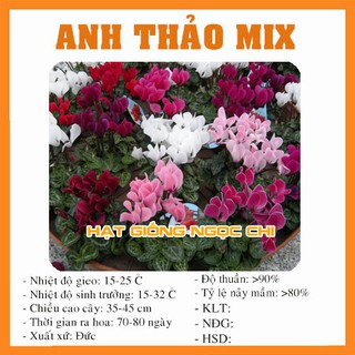 Hạt giống hoa anh thảo mix - 5 hạt