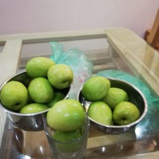 Cây táo D28 ra quả sau 1 năm