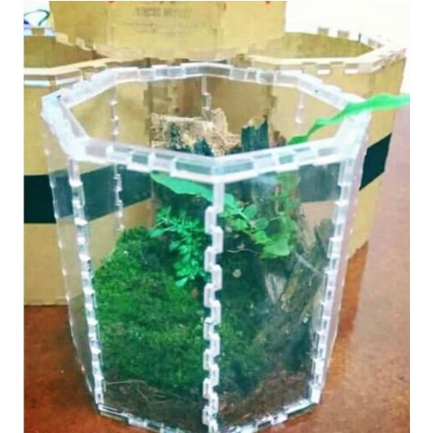 Hộp Nuôi Nhện Lục Giác 8-8-8 (tank tarantula)