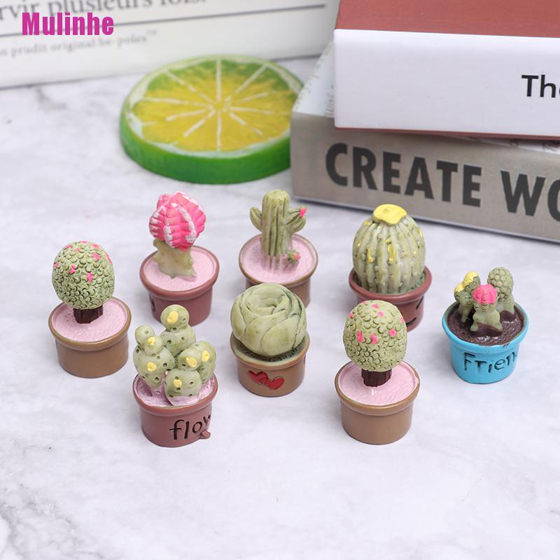 5 Cây xương rồng trong chậu thu nhỏ để trang trí nội thất nhà búp bê