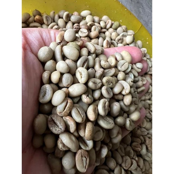 Cafe Robusta nguyên chất Ban Mê Thuột 500g | BigBuy360 - bigbuy360.vn