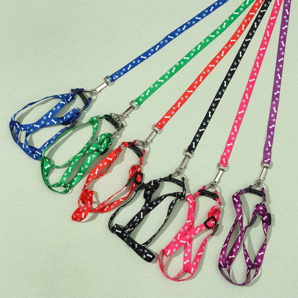 LEISURE 1 Dây Dẫn Chó Đi Dạo Có Thể Điều Chỉnh Kích Thước