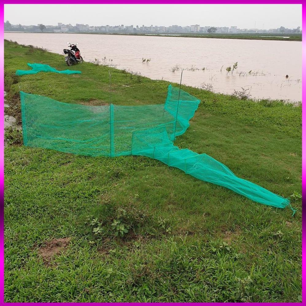 Lưới Đăng chặn sông, cống - bắt tôm tép tất cả các loại cá - Dớn bắt cá, cua, lươn - Đồ Câu Cá 68