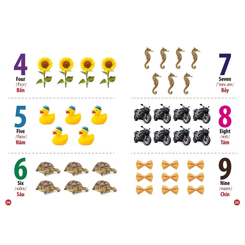 Sách - Từ Điển Bằng Hình Chữ Cái Và Số Đếm