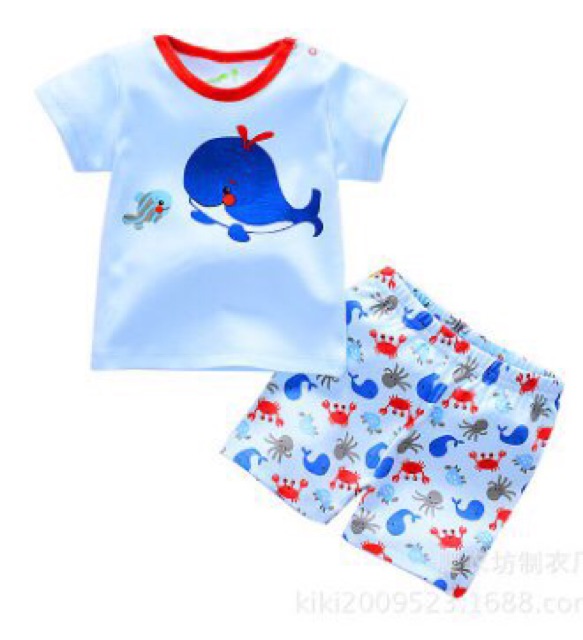 Bộ quần áo bé trai/bé gái mùa hè Cotton Payifang