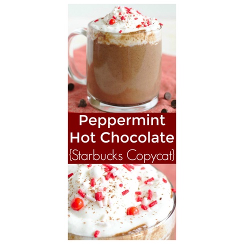 HỘP 6 - 8 GÓI BỘT CACAO - BẠC HÀ Starbucks Peppermint Hot Cocoa Mix, 170g - 226g