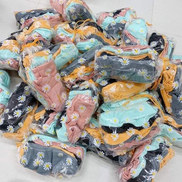 [GIÁ SỐC] Vớ hoa cúc - Tất hoa cúc hoạ mi 10 đôi/set