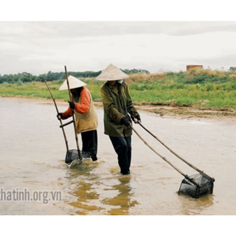 Dụng cụ cào hến ốc trên sông